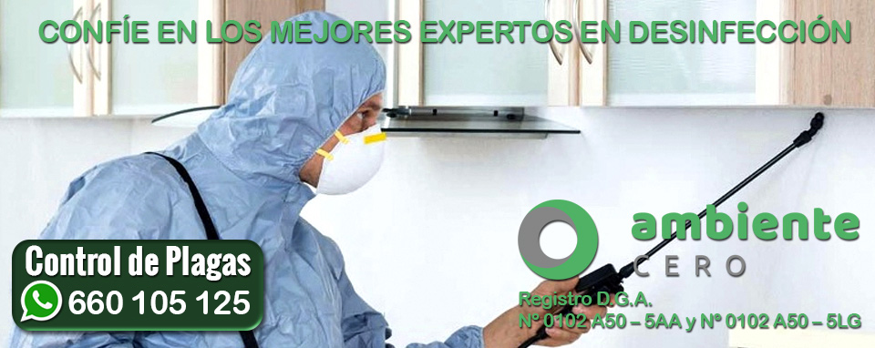 Empresa de desinfección eliminar cucarachas Ambiente Cero en Zaragoza